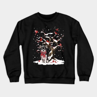 Black Chihuahua Scarf Cardinal Snow Christmas Crewneck Sweatshirt